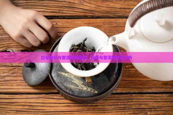 白毫銀針與普洱茶的區(qū)別：白茶與普洱的對(duì)比分析