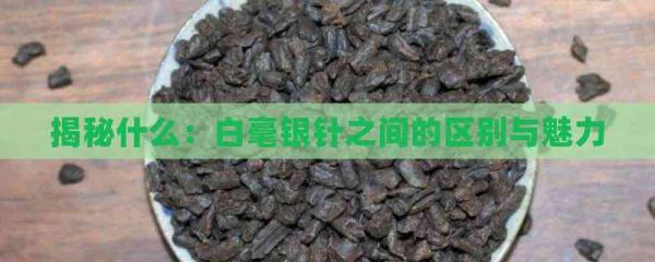 揭秘什么：白毫銀針之間的區(qū)別與魅力