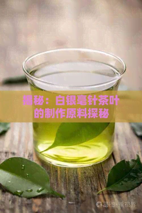 揭秘：白銀毫針茶葉的制作原料探秘