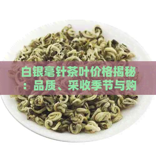 白銀毫針茶葉價(jià)格揭秘：品質(zhì)、采收季節(jié)與購(gòu)買(mǎi)指南