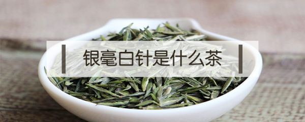 銀毫白針是什么茶