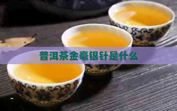 普洱茶金毫銀針是什么