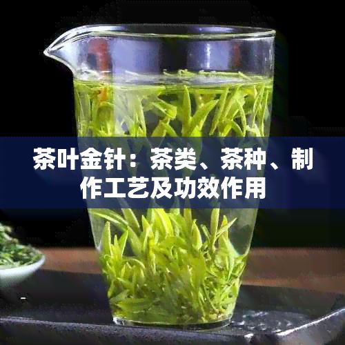 茶葉金針：茶類、茶種、制作工藝及功效作用
