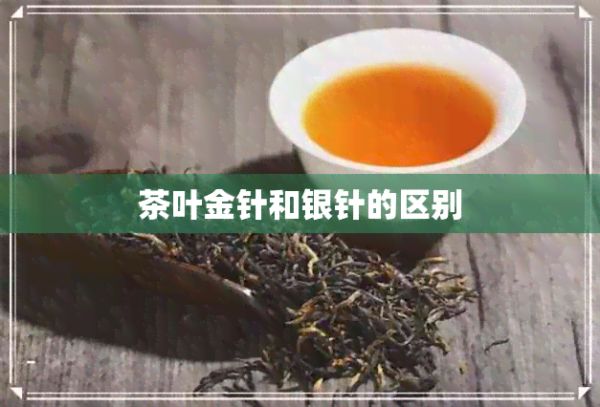 茶葉金針和銀針的區(qū)別