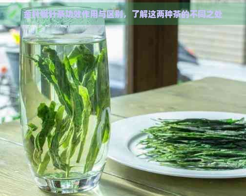 金針銀針茶功效作用與區(qū)別，了解這兩種茶的不同之處