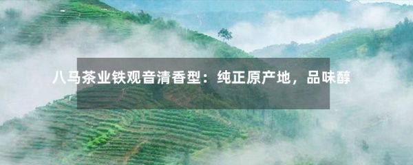 八馬茶業(yè)鐵觀音清香型：純正原產(chǎn)地，品味醇香的茶葉佳選-第1張-綠茶-鳳凰單叢茶網(wǎng)