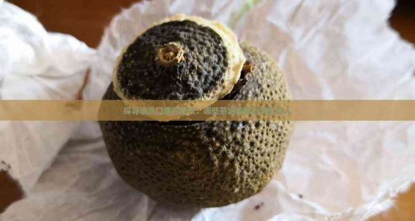 探尋清淡口感的茶飲：哪些茶泡著喝更清新宜人