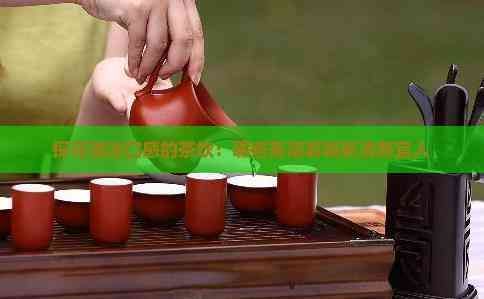 探尋清淡口感的茶飲：哪些茶泡著喝更清新宜人