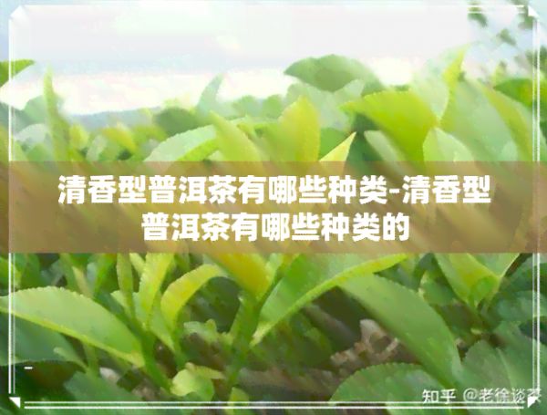 清香型普洱茶有哪些種類(lèi)-清香型普洱茶有哪些種類(lèi)的