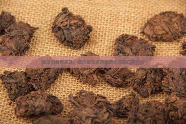 探索清香型茶叶：哪些茶饮更适合追求淡雅口感的您