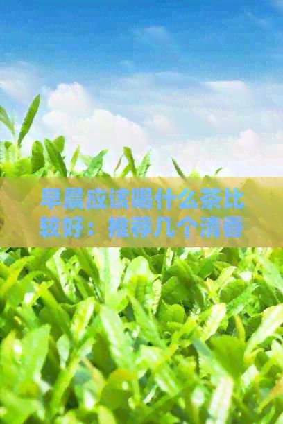 早晨應該喝什么茶比較好：推薦幾個清香型茶品