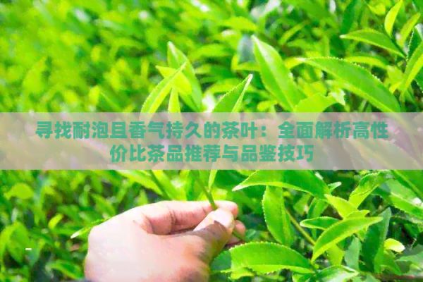 尋找耐泡且香氣持久的茶葉：全面解析高性價(jià)比茶品推薦與品鑒技巧