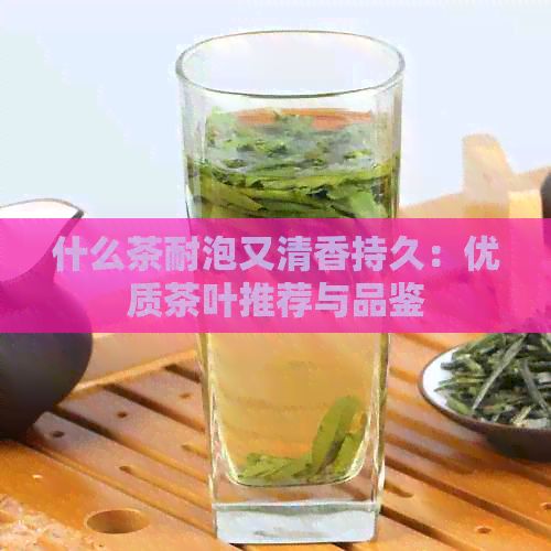 什么茶耐泡又清香持久：優(yōu)質(zhì)茶葉推薦與品鑒