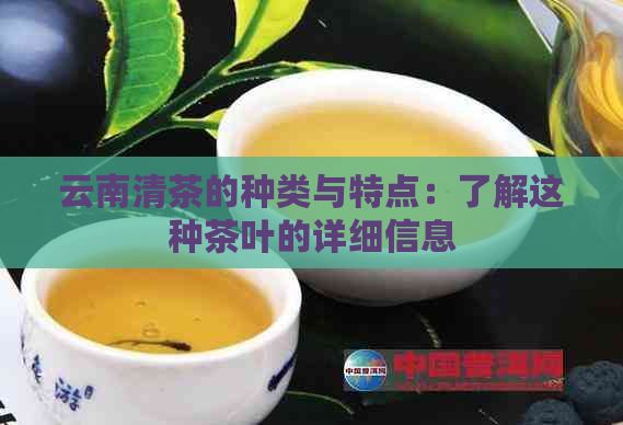 云南清茶的種類與特點：了解這種茶葉的詳細信息