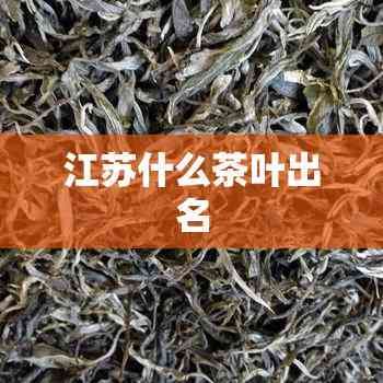 江蘇什么茶葉出名