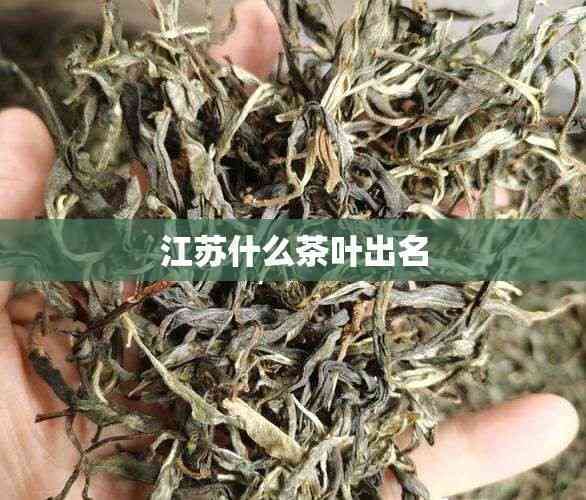 江蘇什么茶葉出名