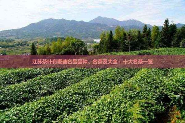 江蘇茶葉有哪些名品品種、名茶及大全：十大名茶一覽