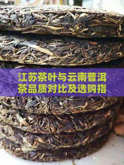 江苏茶叶与云南普洱茶品质对比及选购指南