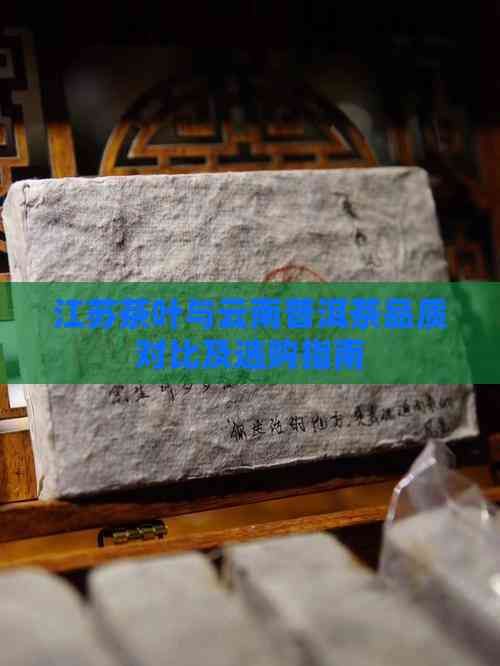 江苏茶叶与云南普洱茶品质对比及选购指南