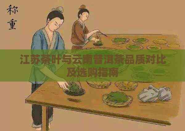江苏茶叶与云南普洱茶品质对比及选购指南