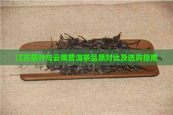 江苏茶叶与云南普洱茶品质对比及选购指南