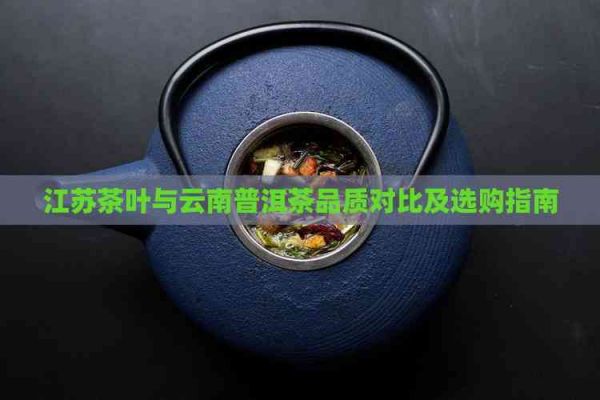 江苏茶叶与云南普洱茶品质对比及选购指南