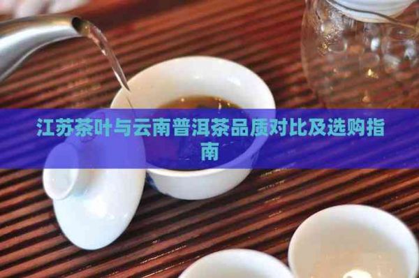 江苏茶叶与云南普洱茶品质对比及选购指南