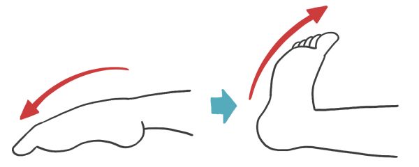 つま先上げ下げエクササイズ
