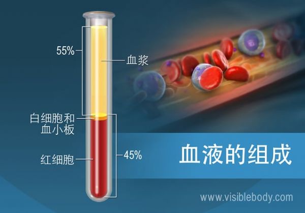 按百分比計(jì)算的血液成分