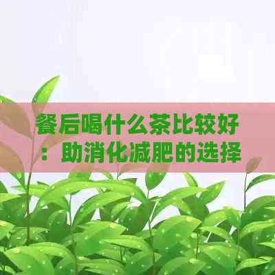 餐后喝什么茶比較好：助消化減肥的選擇與建議