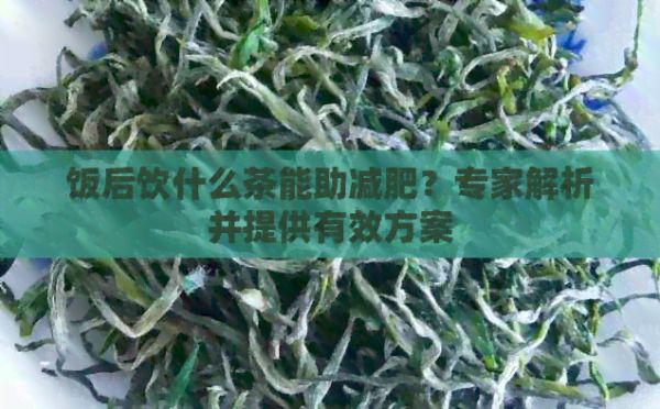 飯后飲什么茶能助減肥？專家解析并提供有效方案