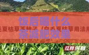 飯后喝什么茶減肥效果：有效飲品推薦