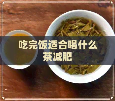 吃完飯適合喝什么茶減肥