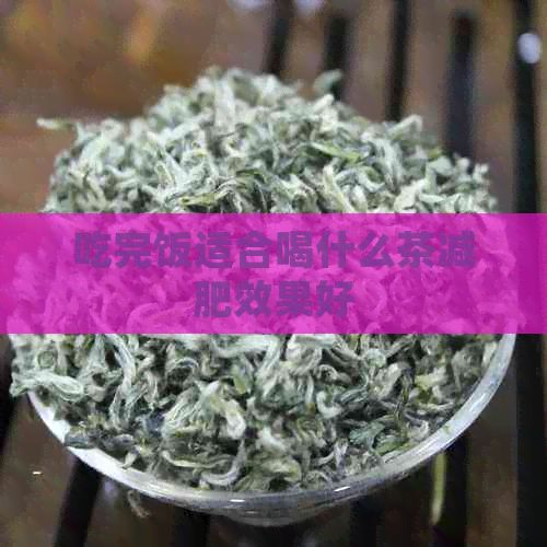 吃完飯適合喝什么茶減肥效果好