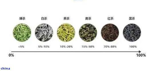 午餐時(shí)光：探索適合中午飲用的茶葉種類