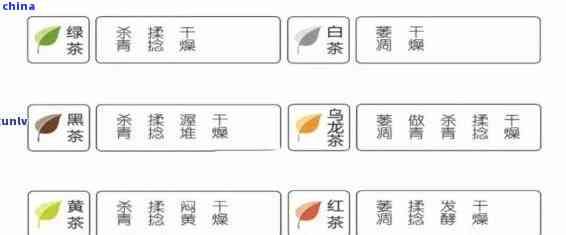 午餐時(shí)光：探索適合中午飲用的茶葉種類