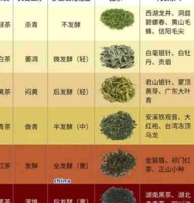 午餐時(shí)光：探索適合中午飲用的茶葉種類