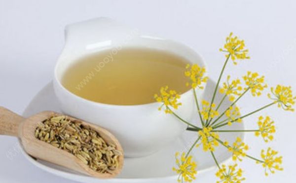 午餐如何才能夠吃得好？午餐后喝什么茶對身體好？(1)