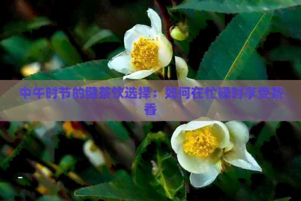 中午時(shí)節(jié)的健茶飲選擇：如何在忙碌時(shí)享受茶香
