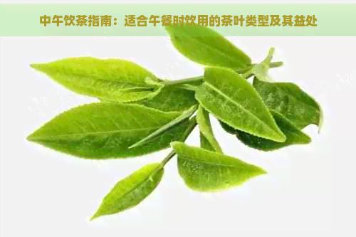 中午飲茶指南：適合午餐時(shí)飲用的茶葉類(lèi)型及其益處