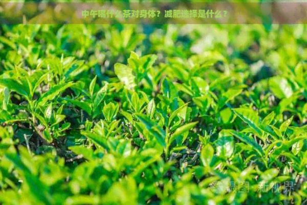 中午喝什么茶對(duì)身體？減肥選擇是什么？