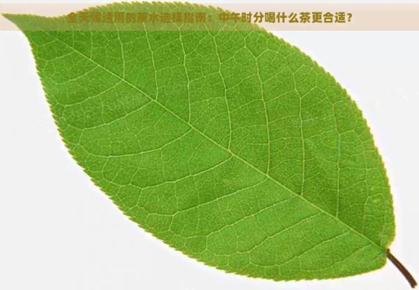 全天候適用的茶水選擇指南：中午時(shí)分喝什么茶更合適？