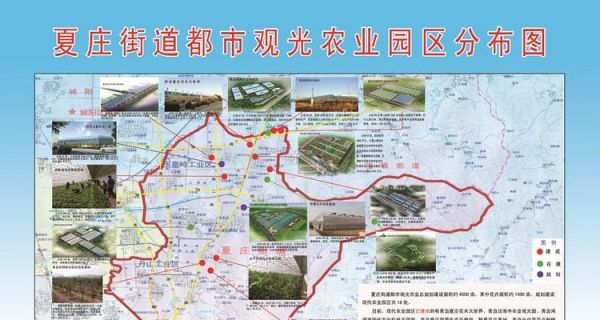 打造農(nóng)產(chǎn)品銷售新生態(tài)（多平臺推廣）