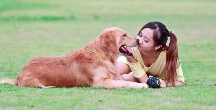 快来了解，狗狗怎样才能长寿？