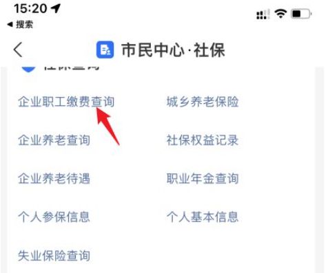 社?？ㄔ趺床樵儌€(gè)人賬戶明細(xì)查詢