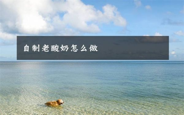 自制老酸奶怎么做文章配圖