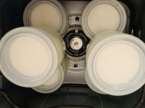 純奶手撕吐司的做法 步驟1