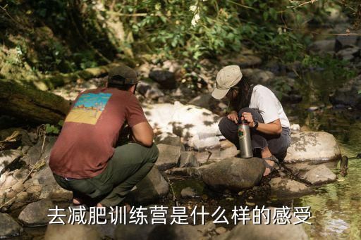 去減肥訓(xùn)練營是什么樣的感受