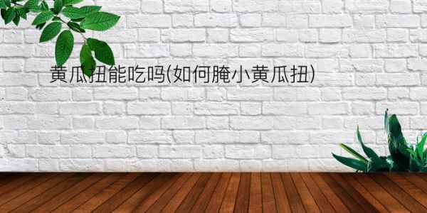 黃瓜扭能吃嗎(如何腌小黃瓜扭)