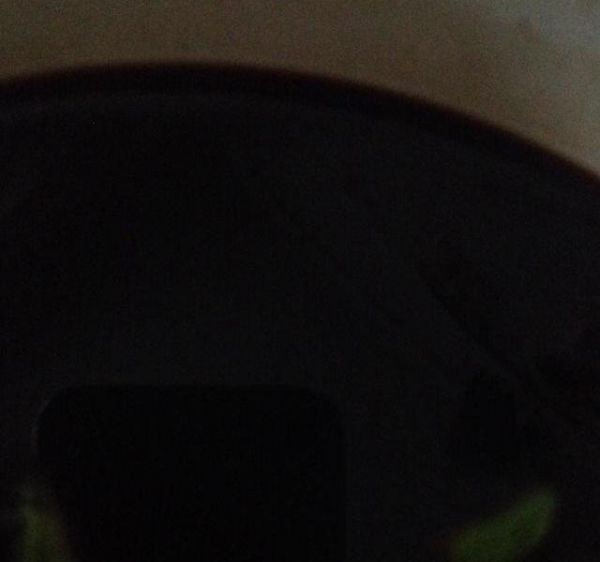 純奶手撕吐司的做法 步驟1